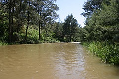 The 
Turon in better days, after some strong rains.