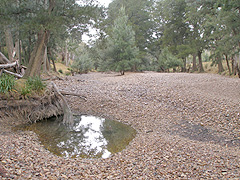 Classic example 
of the River Oak invading on (the empty) Turon River space.