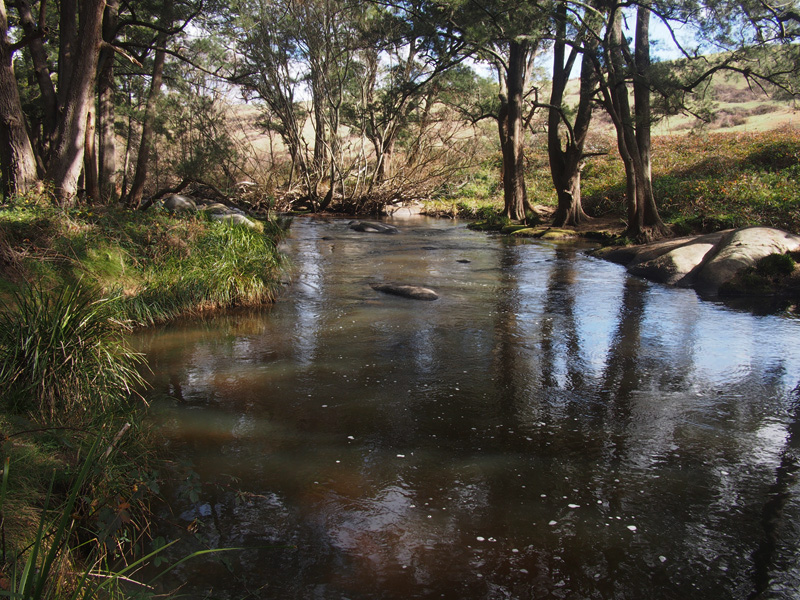 Flowing dirty and a little 
high, the Fish River