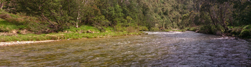Swampy Plains 
River with exceptional flows