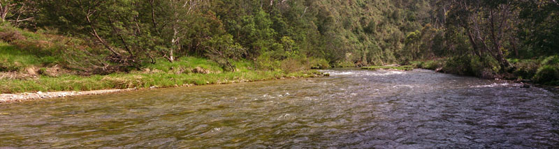 Swampy Plains 
River with exceptional flows