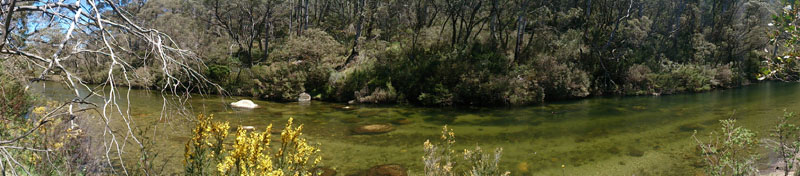 Another perfect 
section of the Thredbo River, unfortunately no fish
