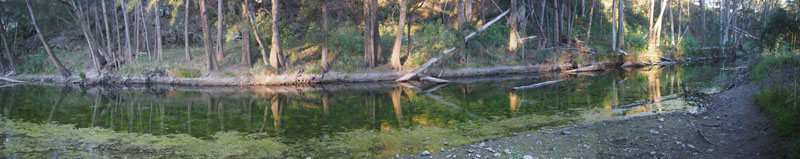 Turon River, little flow 
and looking green