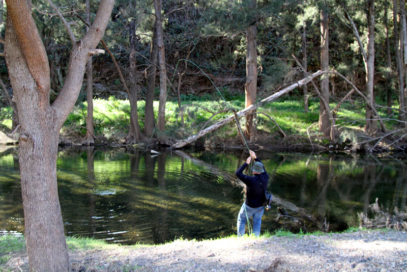 Dave Rutar during better 
times on the Turon, more water and real nice fish